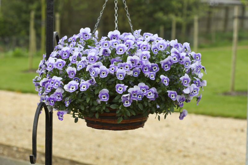 Floranova Image Library